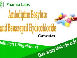 Amlodipine Besylate and Benazepril Hydrochloride Capsules