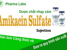 Phan tich cong thuc va QTSX thuoc tiem Amikacin sulfate