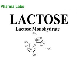 Ta duoc Lactose monohydrate