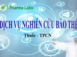 dich vu nghien cuu bao che